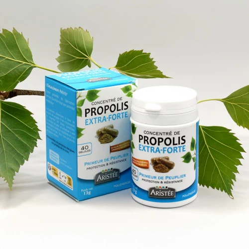 Gélules propolis extra-forte peuplier 40 ou 90 gélules