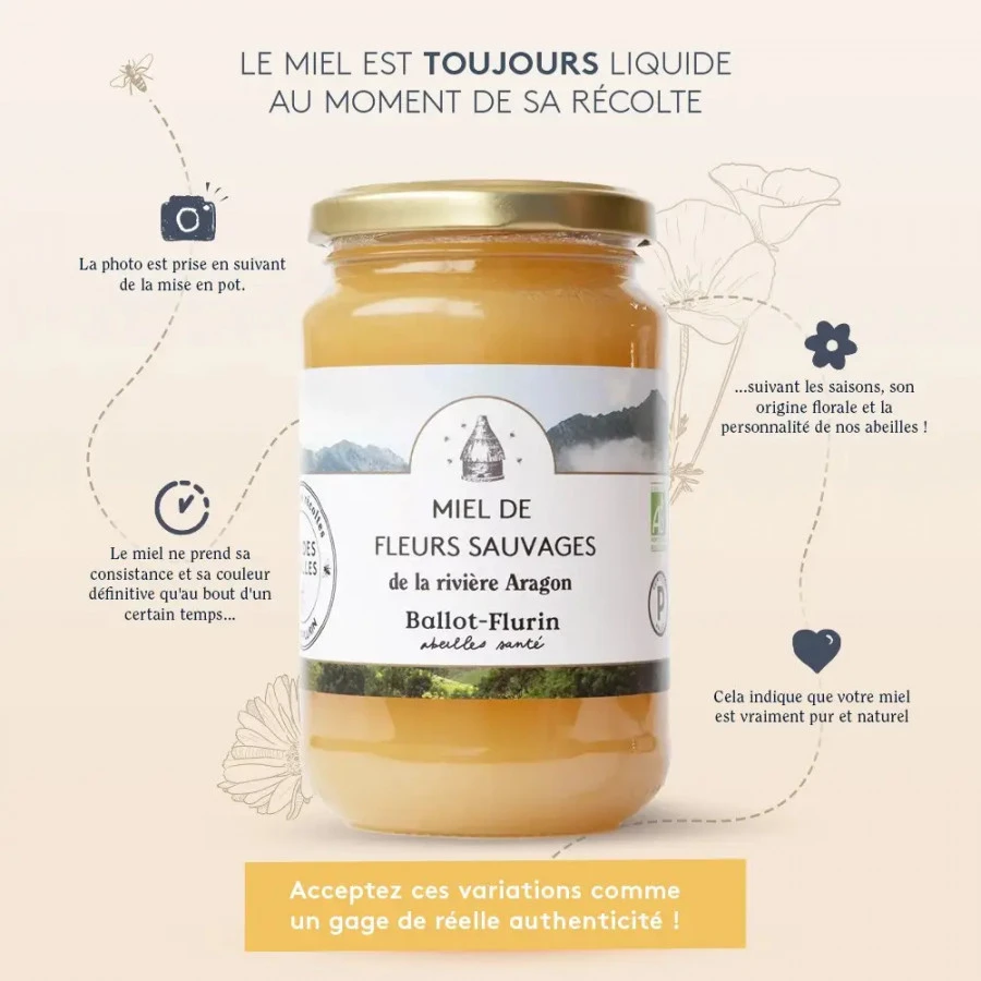 Miel de fleurs sauvages 480g