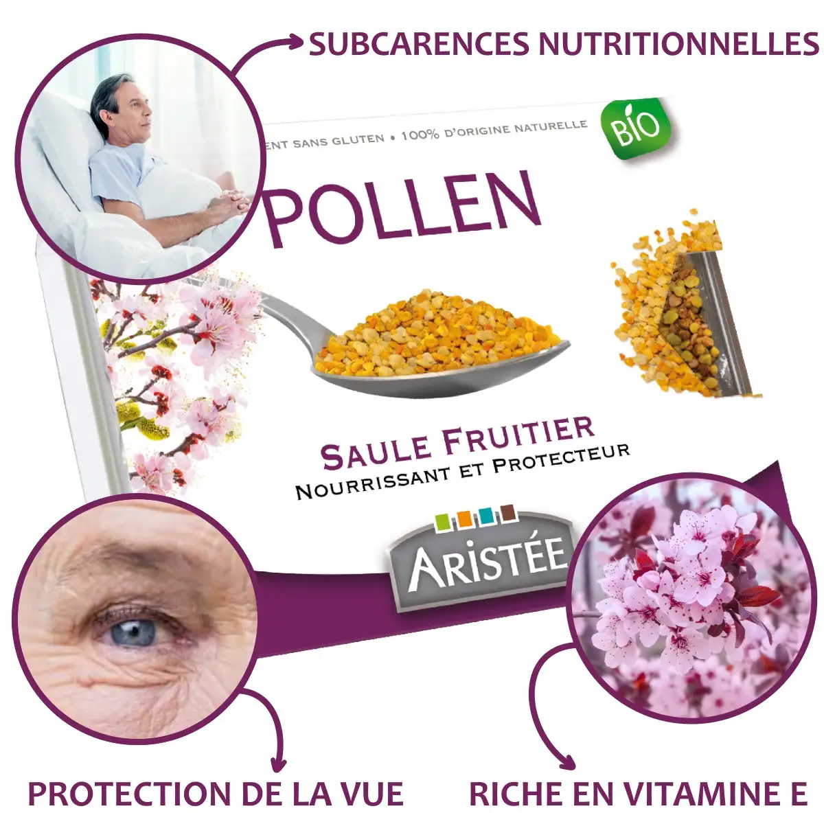 Pollen frais Saule fruitier Bio