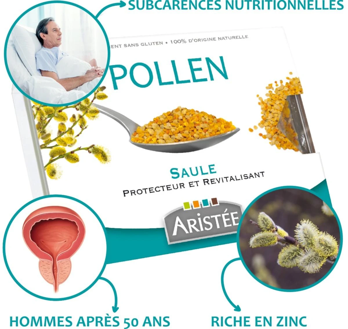 Pollen frais Saule Bio