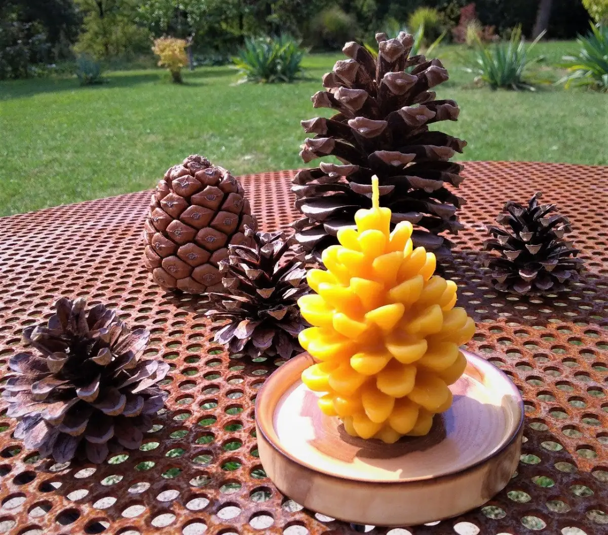 Bougies pomme de pin