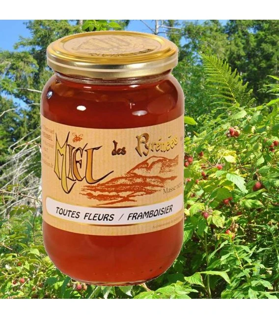 Miel toutes fleurs framboisier