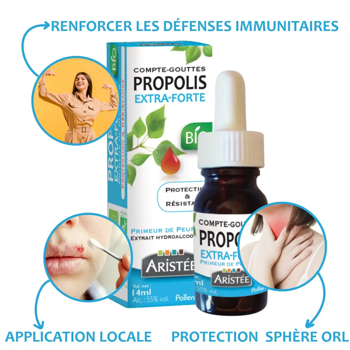 Compte-gouttes propolis extra-forte peuplier Bio
