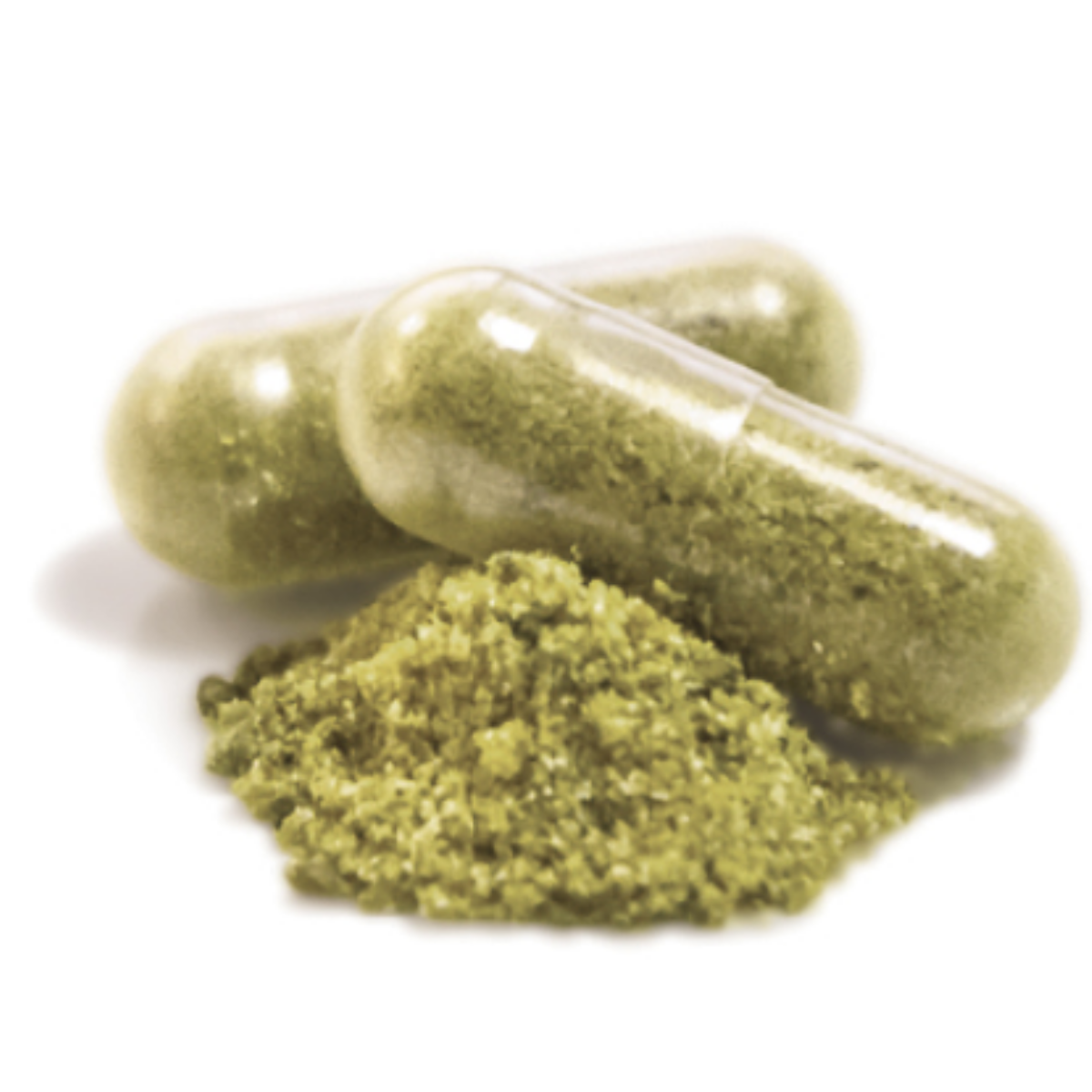 Gélules propolis verte Bio Baccharis